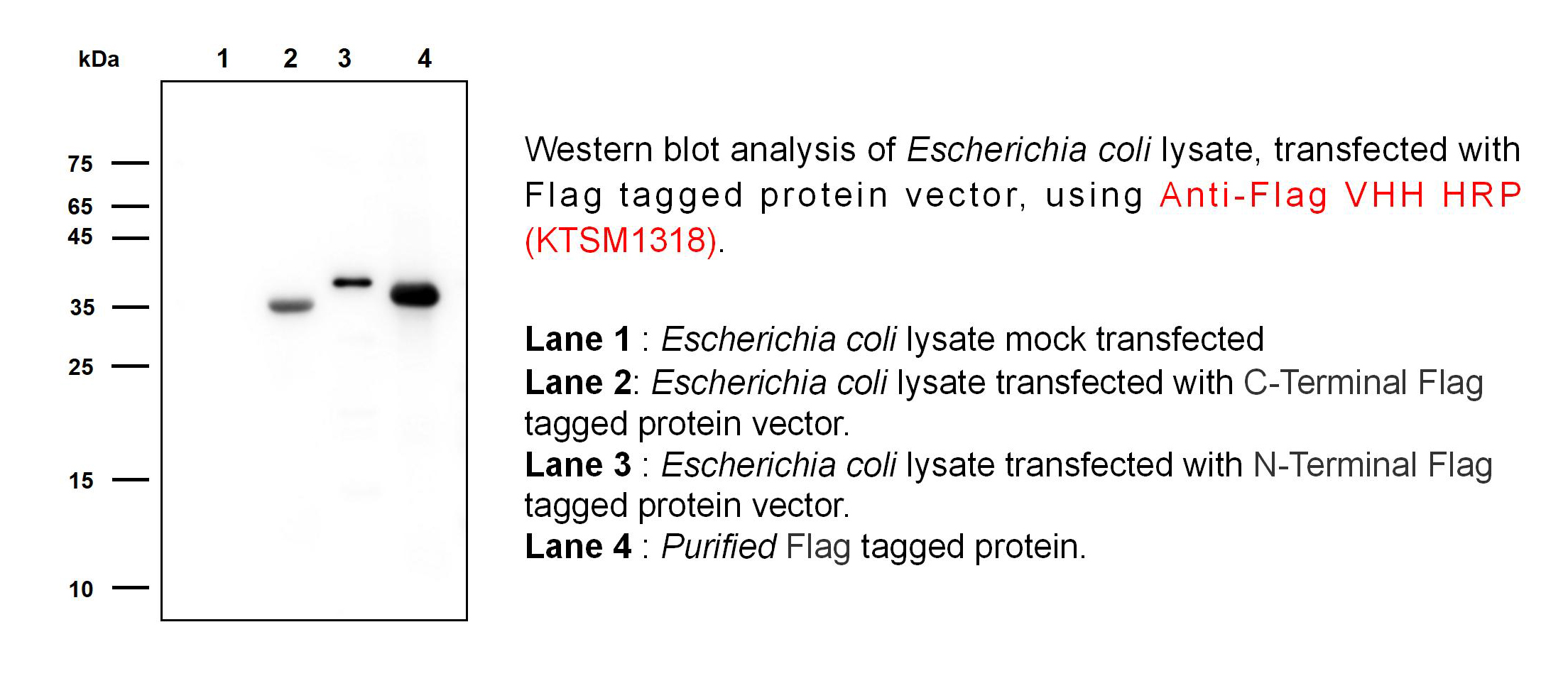 ECL- 20240223_01.jpg